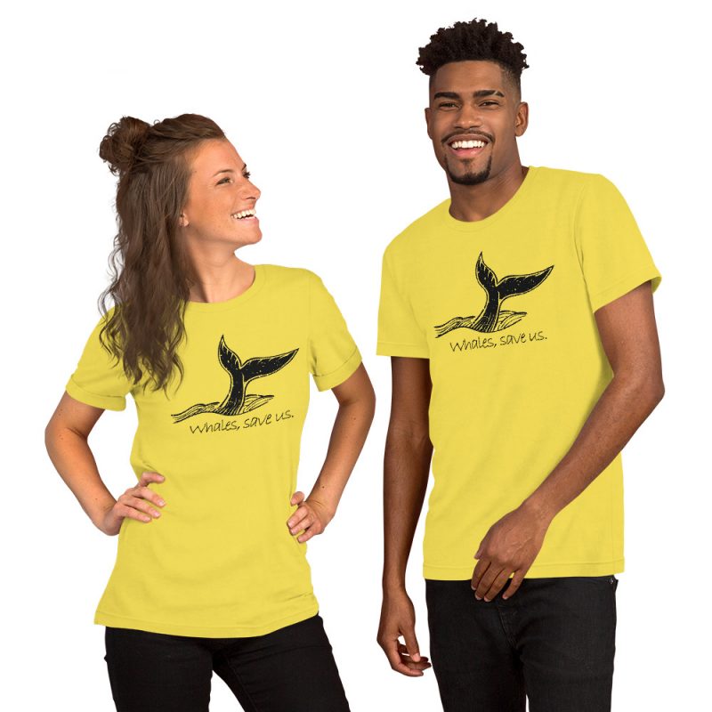 mockup-581b26e8.jpg